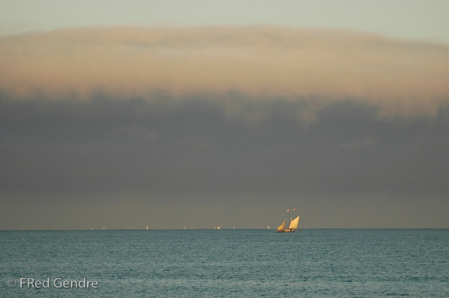 _DSC8053