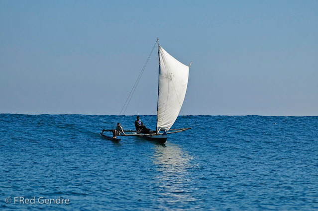 _DSC8283